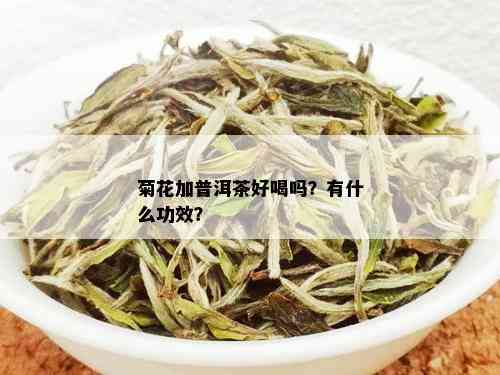 菊花加普洱茶好喝吗？有什么功效？