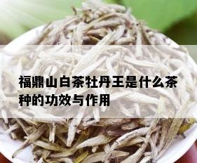 福鼎山白茶牡丹王是什么茶种的功效与作用