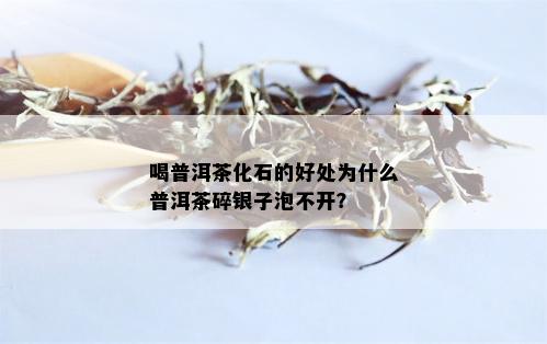 喝普洱茶化石的好处为什么普洱茶碎银子泡不开？