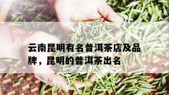 云南昆明有名普洱茶店及品牌，昆明的普洱茶出名