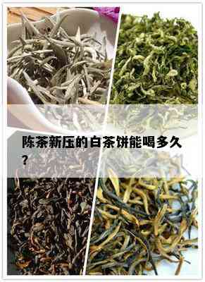 陈茶新压的白茶饼能喝多久？