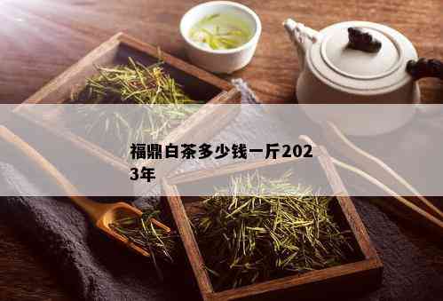 福鼎白茶多少钱一斤2023年