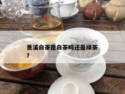 贵溪白茶是白茶吗还是绿茶？