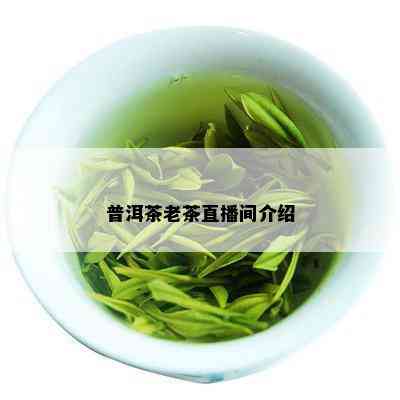 普洱茶老茶直播间介绍