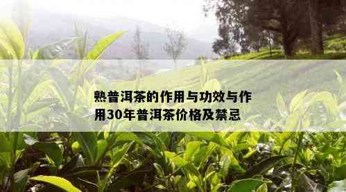 熟普洱茶的作用与功效与作用30年普洱茶价格及禁忌