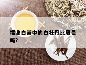 福鼎白茶中的白牡丹比眉贵吗？