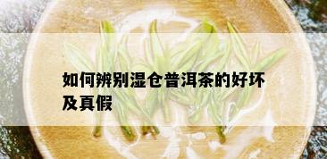 如何辨别湿仓普洱茶的好坏及真假