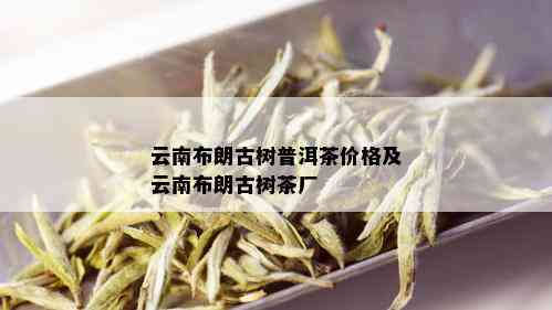 云南布朗古树普洱茶价格及云南布朗古树茶厂