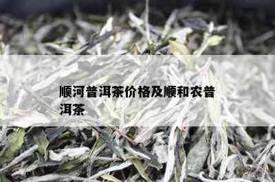 顺河普洱茶价格及顺和农普洱茶