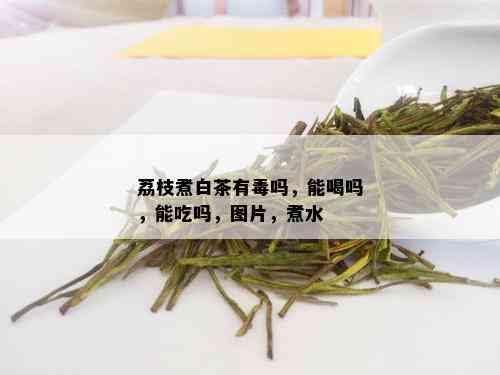 荔枝煮白茶有吗，能喝吗，能吃吗，图片，煮水