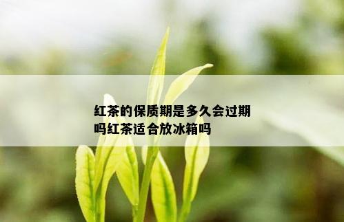 红茶的保质期是多久会过期吗红茶适合放冰箱吗