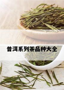 普洱系列茶品种大全