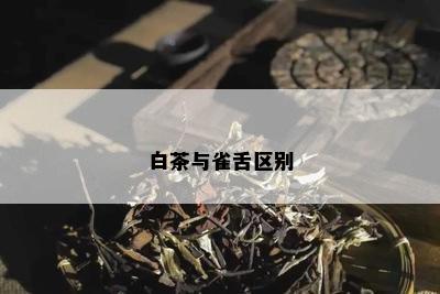 白茶与雀舌区别