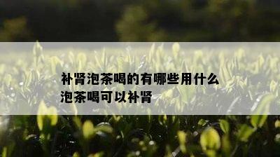 补肾泡茶喝的有哪些用什么泡茶喝可以补肾