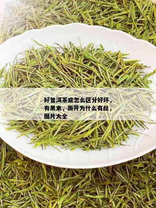 好普洱茶底怎么区分好坏，有黑末，撕开为什么有丝，图片大全