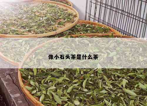 像小石头茶是什么茶