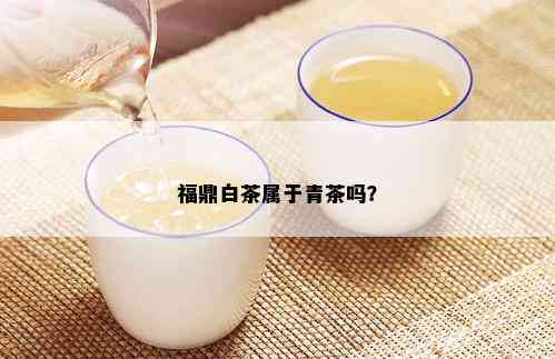 福鼎白茶属于青茶吗？