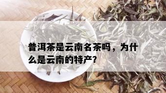 普洱茶是云南名茶吗，为什么是云南的特产？