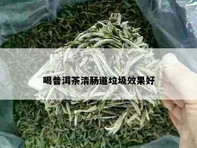 喝普洱茶清肠道垃圾效果好