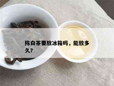 陈白茶要放冰箱吗，能放多久？