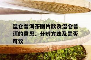 湿仓普洱茶图片欣及湿仓普洱的意思、分辨方法及是否可饮