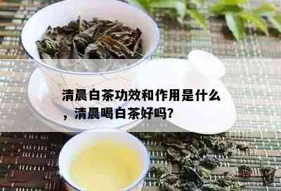 清晨白茶功效和作用是什么，清晨喝白茶好吗？