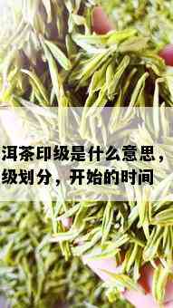 普洱茶印级是什么意思，茶等级划分，开始的时间