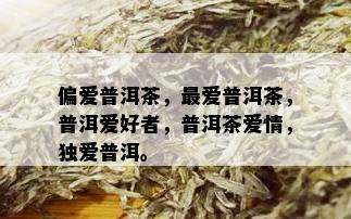 偏爱普洱茶，更爱普洱茶，普洱爱好者，普洱茶爱情，独爱普洱。