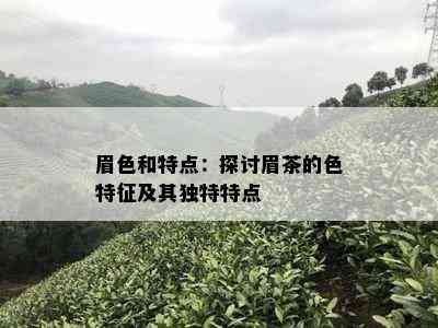 眉色和特点：探讨眉茶的色特征及其独特特点