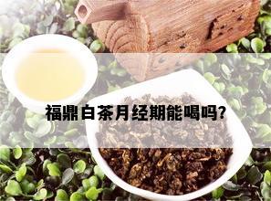 福鼎白茶月经期能喝吗？