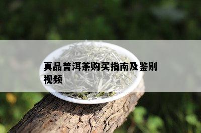 真品普洱茶购买指南及鉴别视频