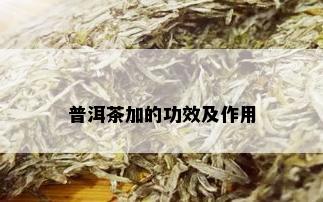 普洱茶加的功效及作用