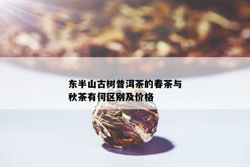 东半山古树普洱茶的春茶与秋茶有何区别及价格