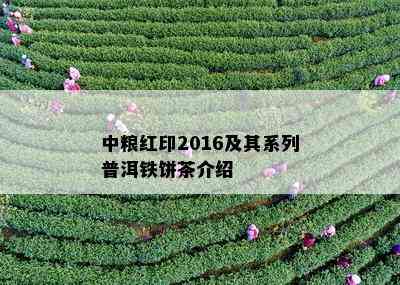 中粮红印2016及其系列普洱铁饼茶介绍