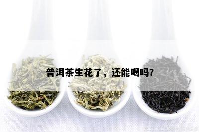 普洱茶生花了，还能喝吗？