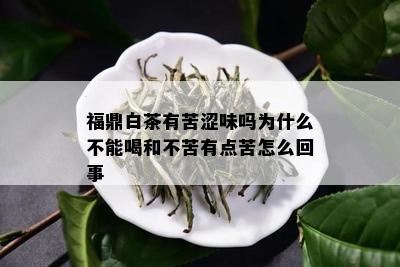 福鼎白茶有苦涩味吗为什么不能喝和不苦有点苦怎么回事