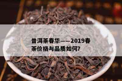 普洱茶春华——2019春茶价格与品质如何？