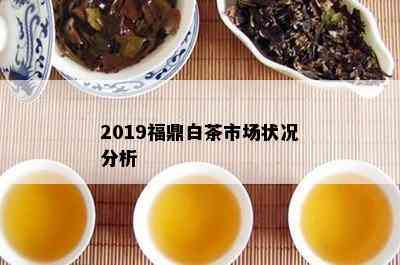 2019福鼎白茶市场状况分析