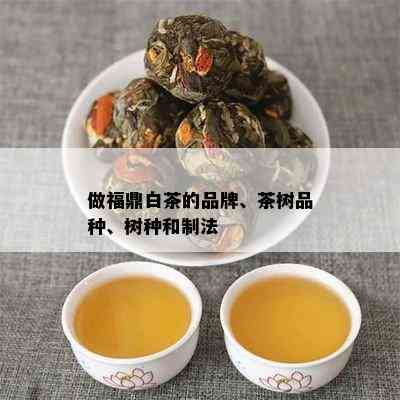 做福鼎白茶的品牌、茶树品种、树种和制法