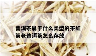 普洱茶属于什么类型的茶红茶老普洱茶怎么存放