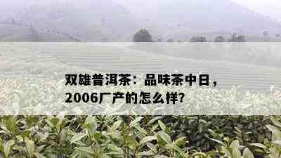 双雄普洱茶：品味茶中日，2006厂产的怎么样？