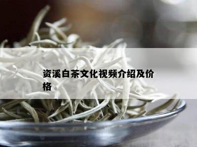 资溪白茶文化视频介绍及价格