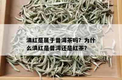 滇红是属于普洱茶吗？为什么滇红是普洱还是红茶？