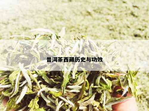 普洱茶 *** 历史与功效