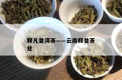 释凡普洱茶——云南释普茶业