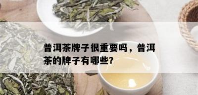 普洱茶牌子很重要吗，普洱茶的牌子有哪些？