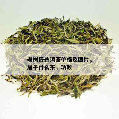 老树砖普洱茶价格及图片，属于什么茶，功效