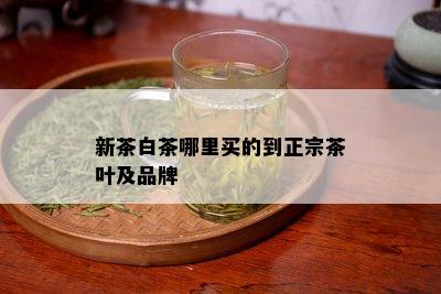 新茶白茶哪里买的到正宗茶叶及品牌