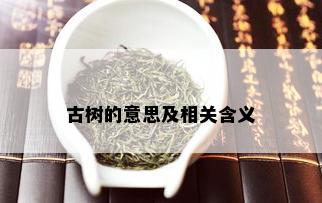 古树的意思及相关含义