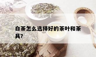 白茶怎么选择好的茶叶和茶具？